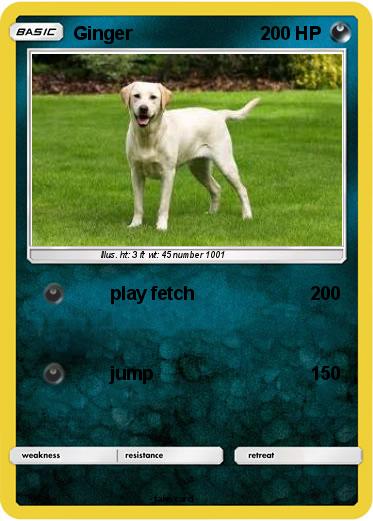 Pokemon Ginger