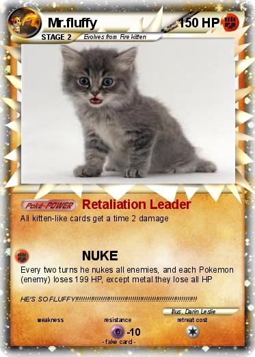 Pokemon Mr.fluffy