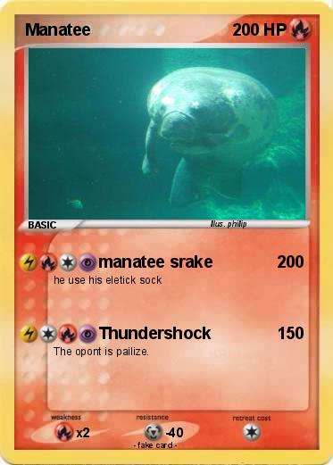 Pokemon Manatee