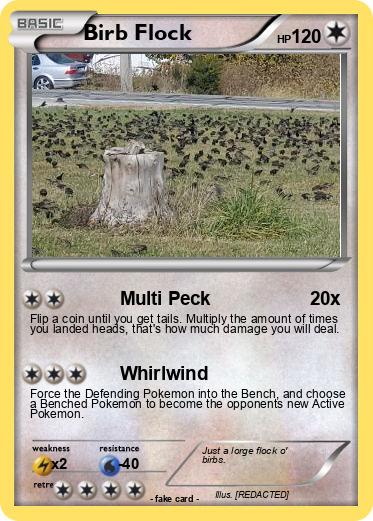 Pokemon Birb Flock