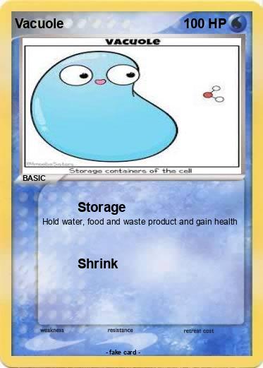 Pokemon Vacuole