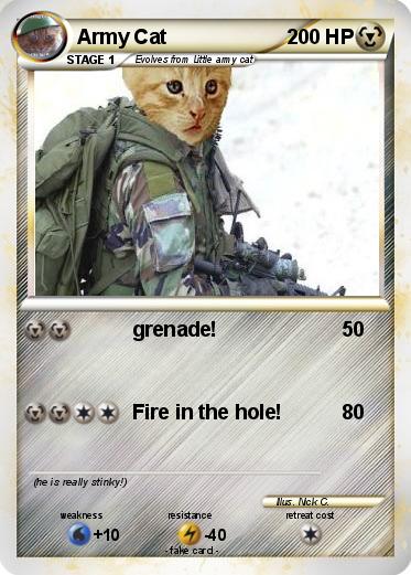 Pokemon Army Cat