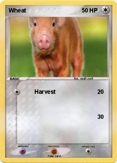 Pokemon Wheat