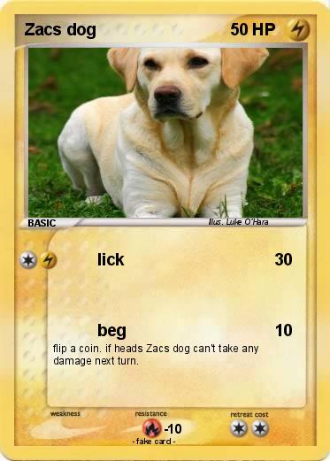 Pokemon Zacs dog