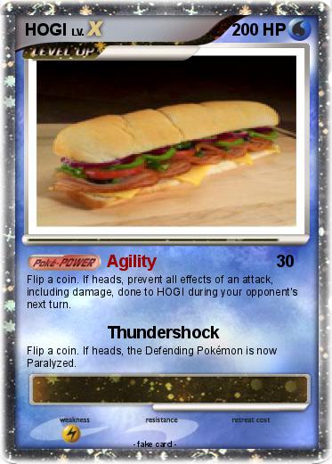 Pokemon HOGI