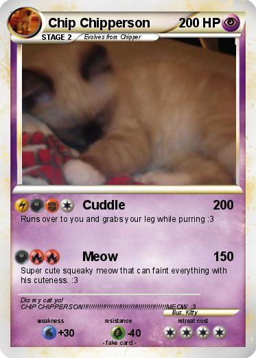 Pokemon Chip Chipperson