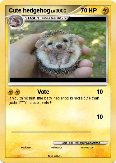 Pokemon Cute hedgehog