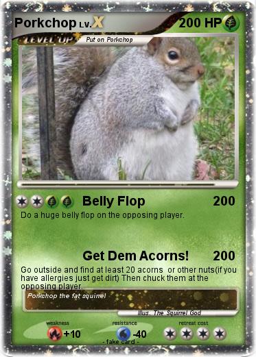 Pokemon Porkchop