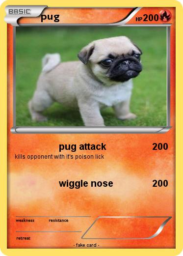 Pokemon pug