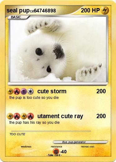 Pokemon seal pup