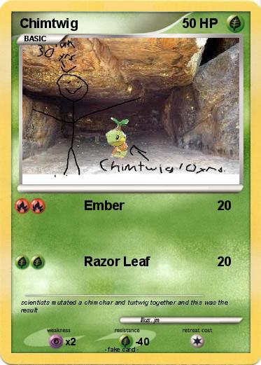 Pokemon Chimtwig