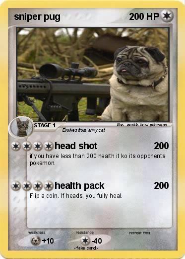 Pokemon sniper pug