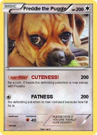 Pokemon Freddie the Puggle