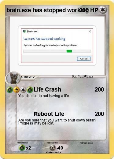 Pokemon brain.exe has stopped working
