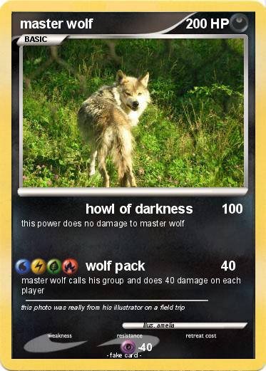 Pokemon master wolf