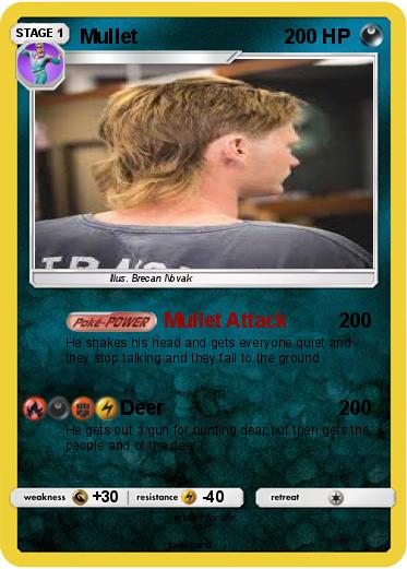Pokemon Mullet