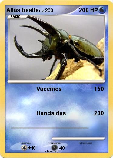 Pokemon Atlas beetle