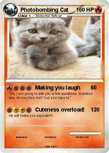 Pokemon Photobombing Cat