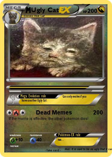 Pokemon Ugly Cat