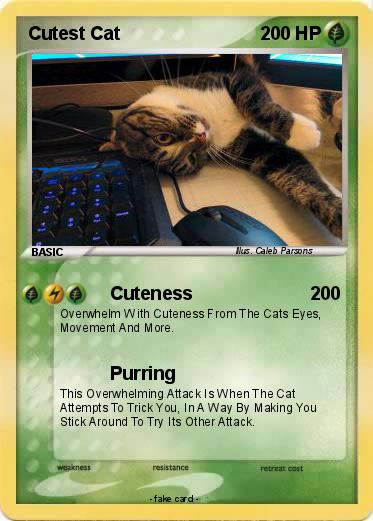 Pokemon Cutest Cat
