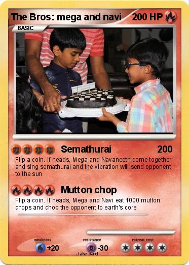 Pokemon The Bros: mega and navi