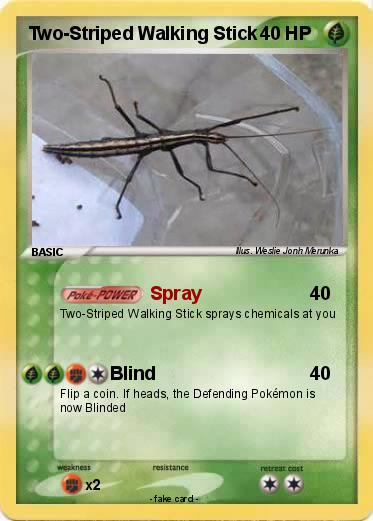 Pokemon Two-Striped Walking Stick