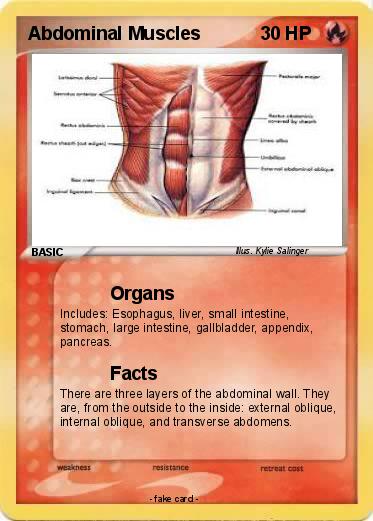 Pokemon Abdominal Muscles