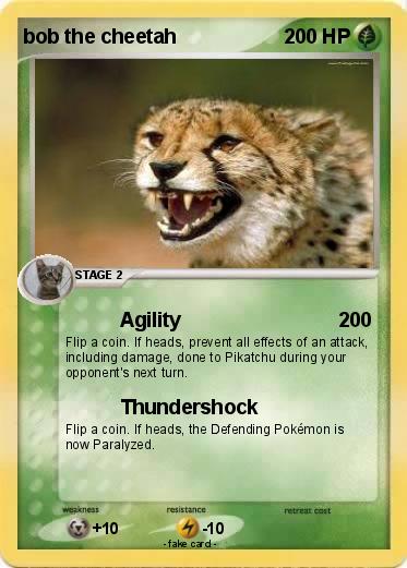 Pokemon bob the cheetah