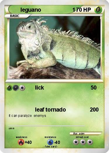 Pokemon leguano                     1
