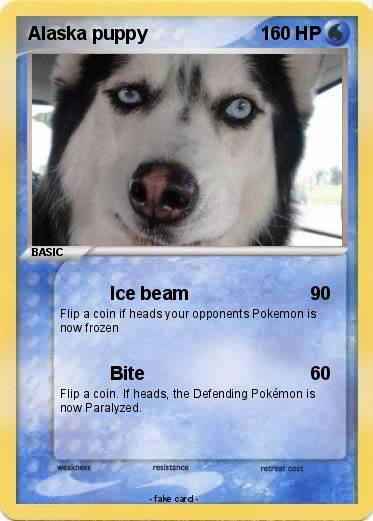Pokemon Alaska puppy