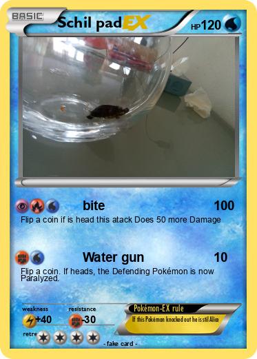 Pokemon Schil pad