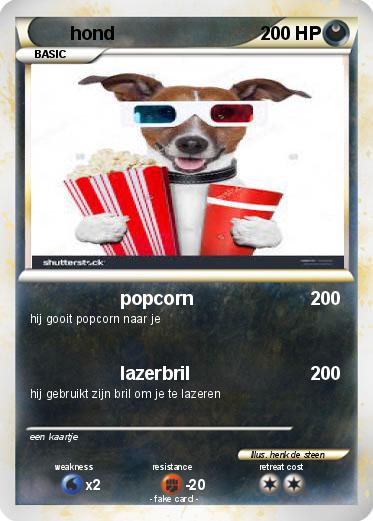 Pokemon hond