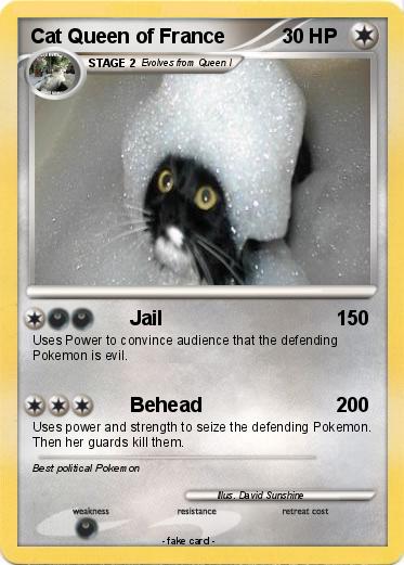 Pokemon Cat Queen of France