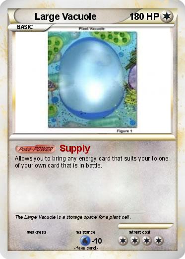 Pokemon Large Vacuole