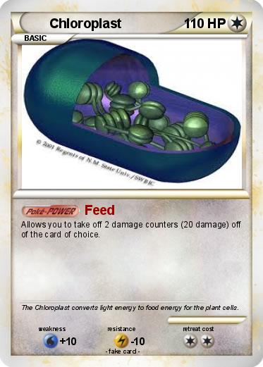 Pokemon Chloroplast