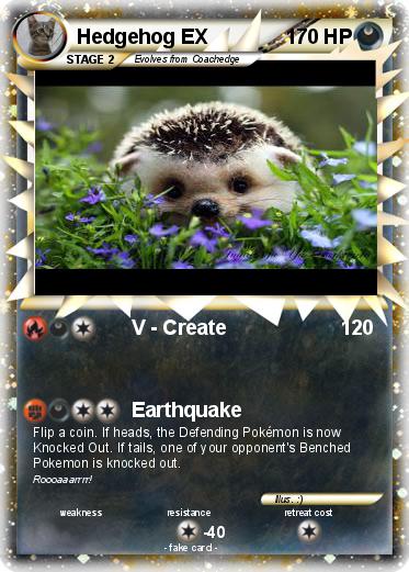 Pokemon Hedgehog EX