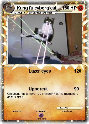 Pokemon Kung fu cyborg cat