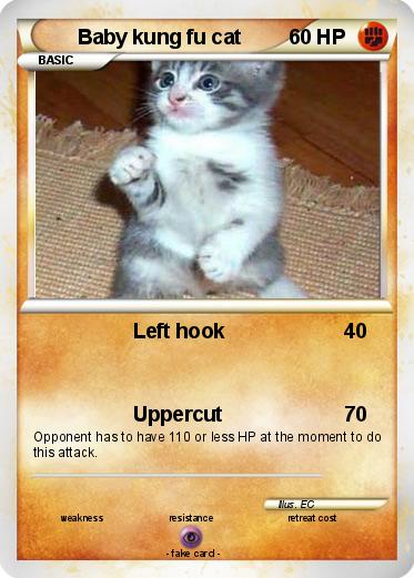 Pokemon Baby kung fu cat
