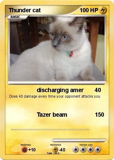 Pokemon Thunder cat