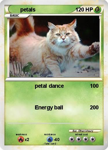 Pokemon petals