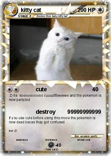 Pokemon kitty cat