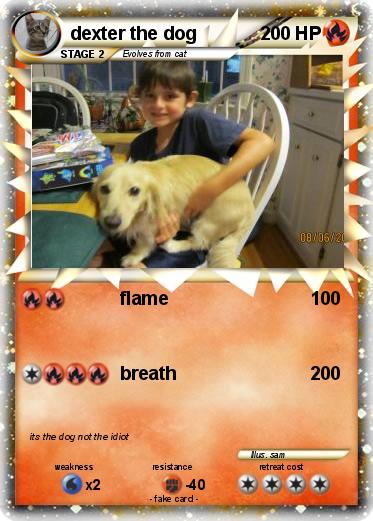 Pokemon dexter the dog