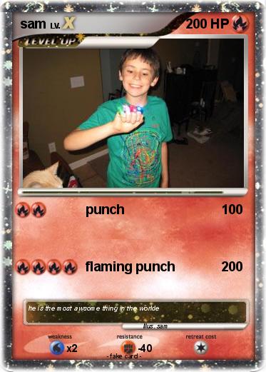 Pokemon sam