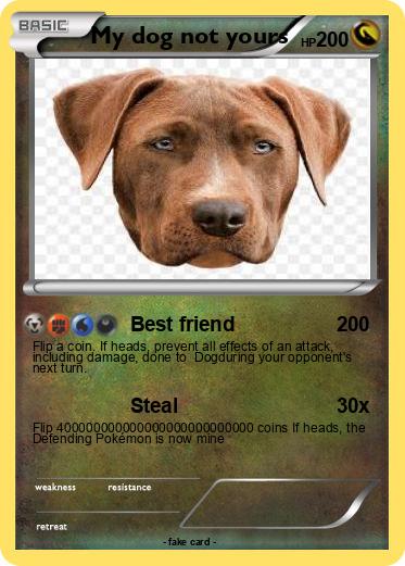 Pokemon My dog not yours