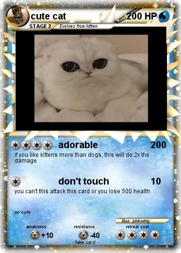 Pokemon cute cat