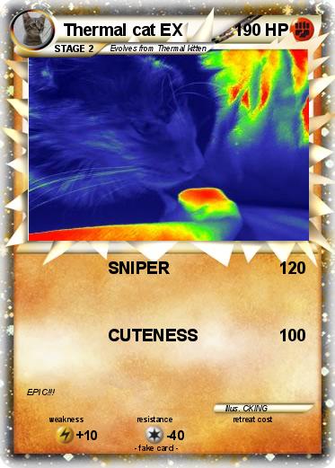 Pokemon Thermal cat EX