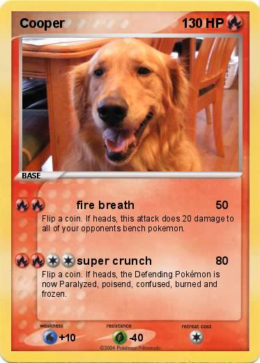 Pokemon Cooper