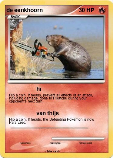 Pokemon de eenkhoorn
