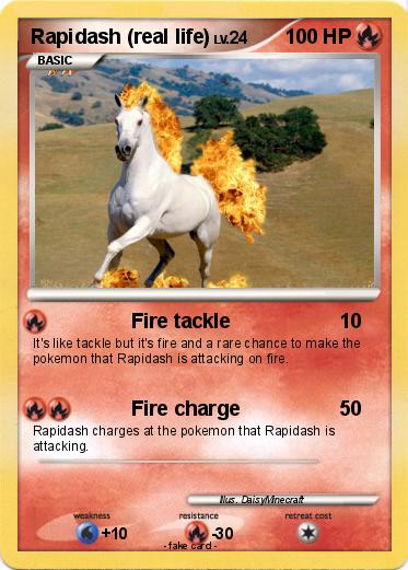 Pokemon Rapidash (real life)