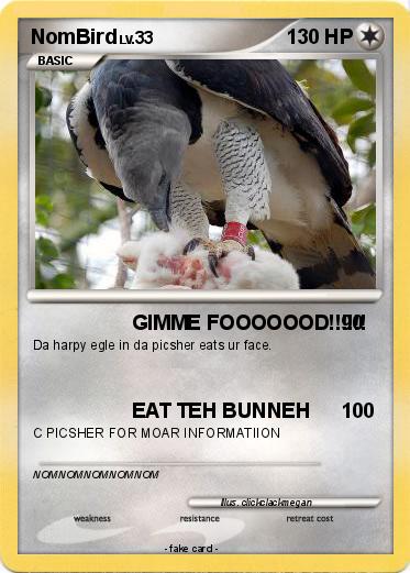 Pokemon NomBird